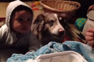 ΓΕΛΑΣΤΕ: Ο σκύλος λέει μαμά για να φάει και το μωράκι δεν μπορεί - [video] - Φωτογραφία 1