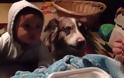 ΓΕΛΑΣΤΕ: Ο σκύλος λέει μαμά για να φάει και το μωράκι δεν μπορεί - [video]