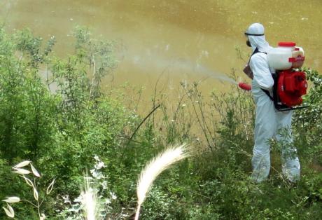 Αιτωλοακαρνανία: Μέτρα για την αντιμετώπιση των κουνουπιών - Φωτογραφία 1