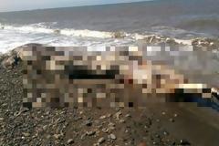 Δείτε τί ξεβράστηκε σε ακτή της Ρωσίας [photos]