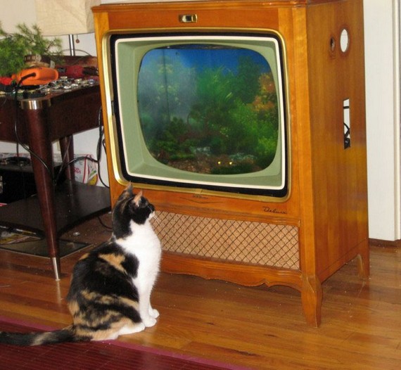 Θα πάθετε ΠΛΑΚΑ: Δείτε σε τι μετέτρεψε αυτή την παλιά τηλεόραση ο τύπος... [photos] - Φωτογραφία 17