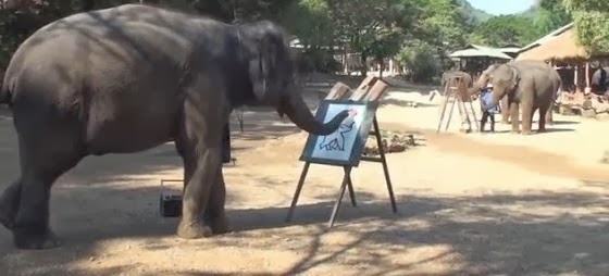 Ελέφαντας ζωγραφίζει το πορτραίτο του στην Ταϊλάνδη [video] - Φωτογραφία 1