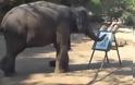 Ελέφαντας ζωγραφίζει το πορτραίτο του στην Ταϊλάνδη [video]