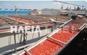 Ανοίγουν τα εργοστάσια ντοματοπολτού στην Ηλεία