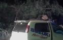 Δέντρο καταπλάκωσε αυτοκίνητα - Μάχη για τη ζωή του δίνει ένας οδηγός [photos]