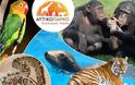 Δωρεάν η είσοδος για όλα τα παιδιά  στο Αττικό Ζωολογικό Πάρκο