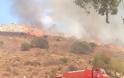 ΧΑΜΟΣ: Φωτιά κοντά στη βίλα Βαρουφάκη στην Αίγινα [photos] - Φωτογραφία 3