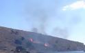 ΧΑΜΟΣ: Φωτιά κοντά στη βίλα Βαρουφάκη στην Αίγινα [photos] - Φωτογραφία 4