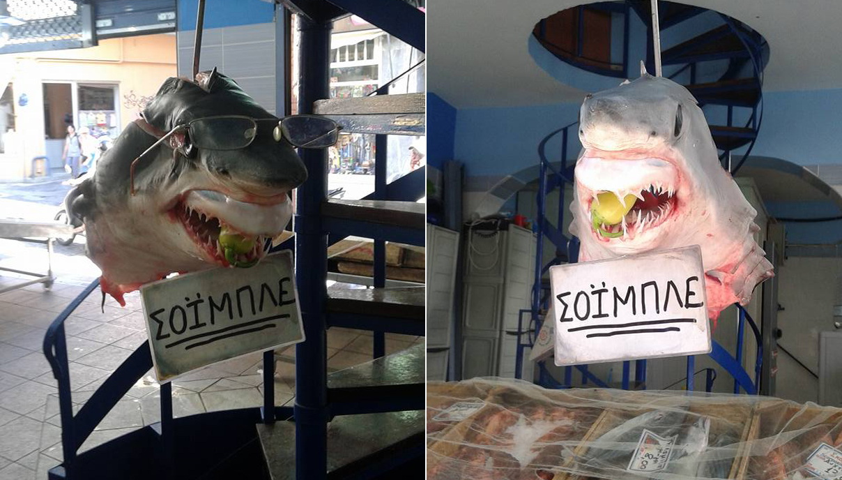 Η φωτογραφία του καρχαρία... Σόιμπλε που έγινε viral [photo] - Φωτογραφία 2