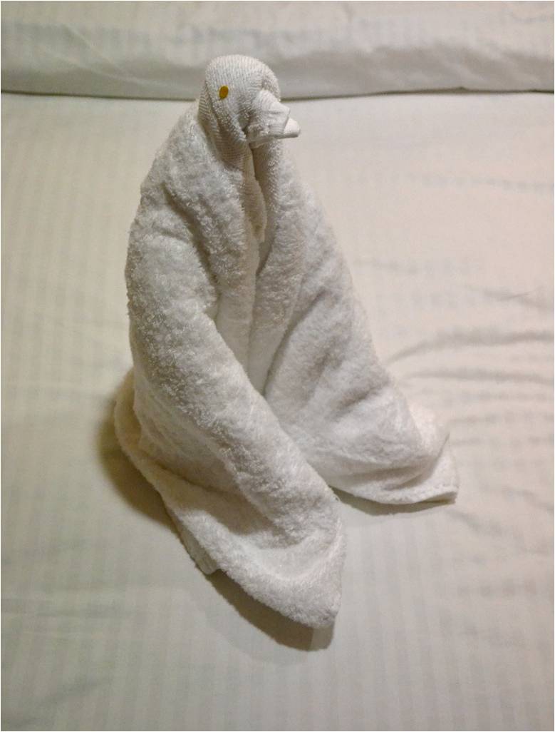 ΔΕΙΤΕ ντυπωσιακά διπλωμένες πετσέτες και μείνετε άφωνοι... - Φωτογραφία 11