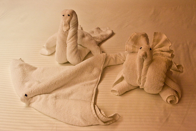 ΔΕΙΤΕ ντυπωσιακά διπλωμένες πετσέτες και μείνετε άφωνοι... - Φωτογραφία 7