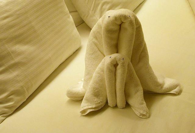 ΔΕΙΤΕ ντυπωσιακά διπλωμένες πετσέτες και μείνετε άφωνοι... - Φωτογραφία 8