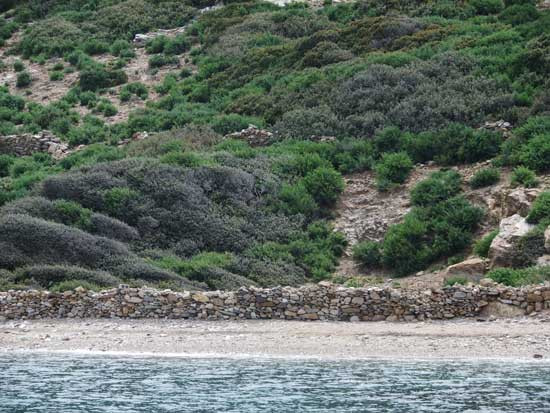 Το νησί στο Αιγαίο με τις τρεις αμμουδερές παραλίες και το ερειπωμένο σπίτι, που αγόρασε ο Τζόνι Ντεπ - Φωτογραφία 7