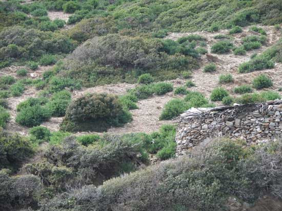 Το νησί στο Αιγαίο με τις τρεις αμμουδερές παραλίες και το ερειπωμένο σπίτι, που αγόρασε ο Τζόνι Ντεπ - Φωτογραφία 8