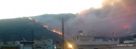 Ανεξέλεγκτη η κατάσταση στη Λακωνία - Δραματικές στιγμές για τους κατοίκους που εγκαταλείπουν τα σπίτια τους - Δείτε φωτο - Φωτογραφία 9