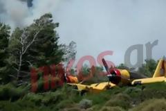 Δείτε το καναντέρ που έκανε αναγκαστική προσγείωση