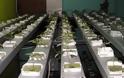 Ένα πλήρως οργανωμένο εργαστήριο-φυτώριο υδροπονικής καλλιέργειας δενδρυλλίων κάνναβης εντοπίσθηκε...