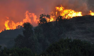 Ανεξέλεγκτη η φωτιά σε περιοχή της Κορίνθου - Φωτογραφία 1