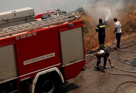 Βαρθολομιό Ηλείας: Φωτιά σε αγροτική έκταση - Φωτογραφία 1
