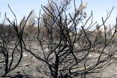 ΕΙΚΟΝΕΣ ΚΑΤΑΣΤΡΟΦΗΣ στον Υμηττός: Η επόμενη ημέρα της πυρκαγιάς φέρνει δάκρυα στα μάτια [photos]