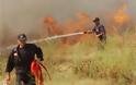 Δυτική Ελλάδα: Μεγάλη πυρκαγιά στην θέση Μέλισσα του Δήμου Λεχαινών