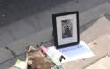 Ένα ρακούν πέθανε σε πεζοδρόμιο στον Καναδά: Αυτό που έγινε μετά δεν έχει προηγούμενο - Φωτογραφία 6