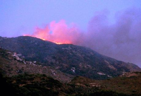 Δυτική Ελλάδα: Στο κόκκινο την Κυριακή για πρόκληση πυρκαγιών - Συνεχίζει να καίει η φωτιά στη Ζάκυνθο - Kάηκαν 500 στρέμματα στο Κουρτέσι Ηλείας - Φωτογραφία 1