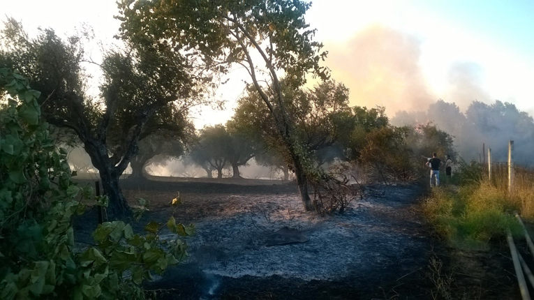 Δυτική Ελλάδα: Στο κόκκινο την Κυριακή για πρόκληση πυρκαγιών - Συνεχίζει να καίει η φωτιά στη Ζάκυνθο - Kάηκαν 500 στρέμματα στο Κουρτέσι Ηλείας - Φωτογραφία 2