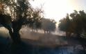 Δυτική Ελλάδα: Στο κόκκινο την Κυριακή για πρόκληση πυρκαγιών - Συνεχίζει να καίει η φωτιά στη Ζάκυνθο - Kάηκαν 500 στρέμματα στο Κουρτέσι Ηλείας - Φωτογραφία 4