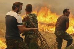 Σοκαριστικές φωτογραφίες από τη Λακωνία: Πριν και μετά την πυρκαγιά... - Απίστευτα στιγμιότυπα [photos]