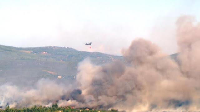 Πρωτοφανής Κινητοποίηση του Στρατού Ξηράς στην Αντιμετώπιση των Πρόσφατων Πυρκαγιών - Φωτογραφία 10