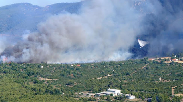 Πρωτοφανής Κινητοποίηση του Στρατού Ξηράς στην Αντιμετώπιση των Πρόσφατων Πυρκαγιών - Φωτογραφία 4