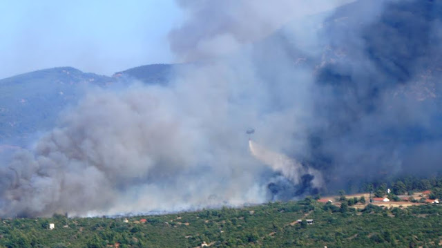 Πρωτοφανής Κινητοποίηση του Στρατού Ξηράς στην Αντιμετώπιση των Πρόσφατων Πυρκαγιών - Φωτογραφία 6