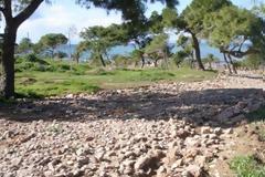 AKOMA δεν μπορούν να το πιστέψουν - Δείτε τη ανακάλυψαν στη Βουλιαγμένη... [photo]
