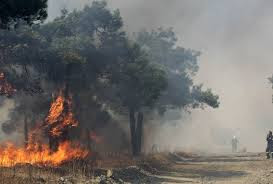 H εικόνα συγκλονίζει: Ένας παπάς πυροσβέστης στην Αργολίδα - Μάχη με τις φλόγες, με ράσο [photo] - Φωτογραφία 1