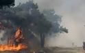 H εικόνα συγκλονίζει: Ένας παπάς πυροσβέστης στην Αργολίδα - Μάχη με τις φλόγες, με ράσο [photo] - Φωτογραφία 1