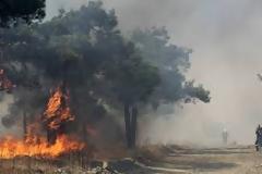 H εικόνα συγκλονίζει: Ένας παπάς πυροσβέστης στην Αργολίδα - Μάχη με τις φλόγες, με ράσο [photo]