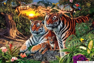 Πάτε στοίχημα ότι δε μπορείτε να βρείτε πόσες τίγρεις υπάρχουν στη φωτογραφία; - Φωτογραφία 1