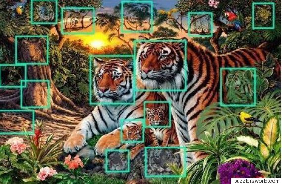 Πάτε στοίχημα ότι δε μπορείτε να βρείτε πόσες τίγρεις υπάρχουν στη φωτογραφία; - Φωτογραφία 3