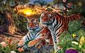 Πάτε στοίχημα ότι δε μπορείτε να βρείτε πόσες τίγρεις υπάρχουν στη φωτογραφία;