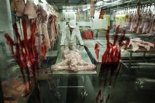 Σε αυτό το κρεοπωλείο, το κρέας θα έκανε τους περισσότερους πελάτες να βγουν ουρλιάζοντας στους δρόμους… - Φωτογραφία 10