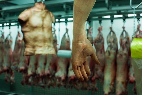 Σε αυτό το κρεοπωλείο, το κρέας θα έκανε τους περισσότερους πελάτες να βγουν ουρλιάζοντας στους δρόμους… - Φωτογραφία 2