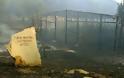 Απειλείται και πάλι σε ενδεχόμενο εκδήλωσης πυρκαγιάς ο Αρχαιολογικός χώρος της Ολυμπίας