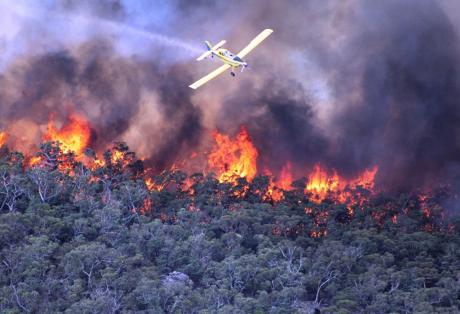 Tώρα: Μεγάλη φωτιά στο δάσος της Στροφυλιάς στο Κουνουπελάκι - Επιχειρούν δύο καναντέρ - Απομακρύνουν τους λουόμενους - Φωτογραφία 1