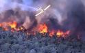 Tώρα: Μεγάλη φωτιά στο δάσος της Στροφυλιάς στο Κουνουπελάκι - Επιχειρούν δύο καναντέρ - Απομακρύνουν τους λουόμενους
