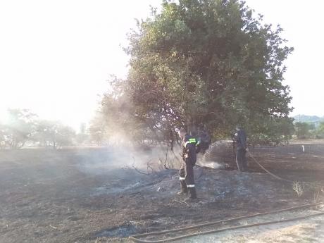 Είκοσι στρέμματα έχει κάψει η πυρκαγιά στο χωριό Τζάιλος Αχαίας - Δείτε φωτο - Φωτογραφία 1