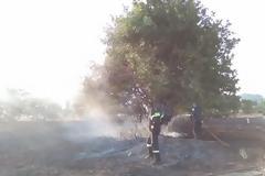 Είκοσι στρέμματα έχει κάψει η πυρκαγιά στο χωριό Τζάιλος Αχαίας - Δείτε φωτο