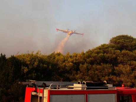 Δυτική Ελλάδα: Οικολογική καταστροφή στη Στροφυλιά - Εφιάλτης το καλοκαίρι για το οικοσύστημα - Φωτογραφία 4