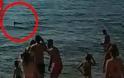 Ψάρι ΤΕΡΑΣ έκανε την εμφάνισή του σε παραλία της Χαλκίδας! Το βίντεο που σοκάρει...