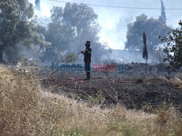 ΠΥΡΚΑΓΙΑ στο Κορωπί από διερχόμενο όχημα [photos] - Φωτογραφία 3